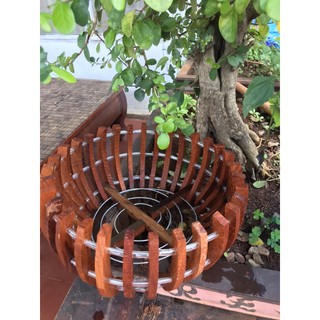 Chậu bí Fi 30 gỗ Căm xe