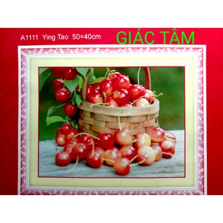Tranh thêu giỏ trái cây - 50x40cm - a1111 - tranh thêu chữ thập chưa thêu