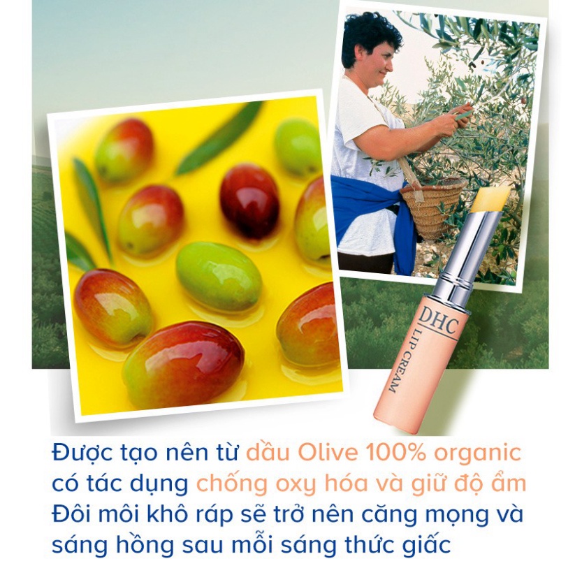 [BEANNA] Son dưỡng môi DHC Nhật Bản Lip Cream giữ ẩm môi, dưỡng môi sáng hồng tự nhiên 1.5g | BigBuy360 - bigbuy360.vn