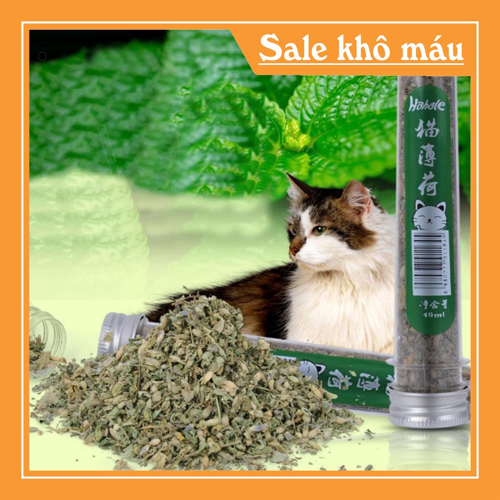 [FLASH SALE]  Đồ chơi cho mèo ống catnip cỏ bạc hà cho mèo