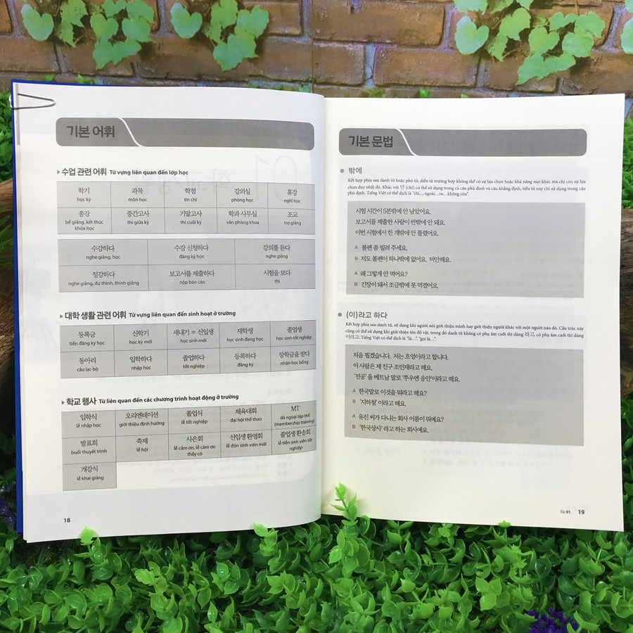 Sách - Tiếng Hàn Tổng Hợp Dành Cho Người Việt Nam - Phiên Bản Mới (12 quyển lẻ tùy chọn) | BigBuy360 - bigbuy360.vn