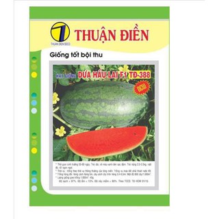 HẠT GIỐNG DƯA HẤU LAI 388