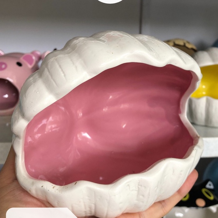 Nhà ngủ sứ hamster, VỎ SÒ xịn sò