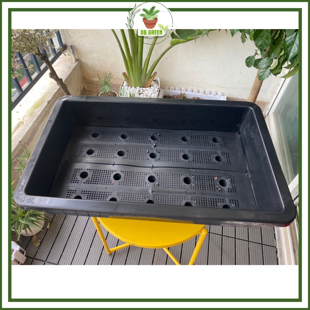 Chậu Trồng Rau Hình Chữ Nhật, Khay Nhựa Trồng Rau Thông Minh, Máng, Giá, Bồn Trồng Hoa, Rau Củ Quả - 67x41x14cm