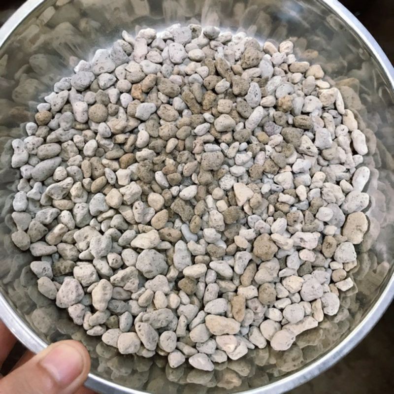 Đá Pumice ( Đá bọt núi lửa) _ thoát nước tốt, giữ ẩm tốt, tốt cho bộ rễ_ trồng lan, sen đá, cây kiểng