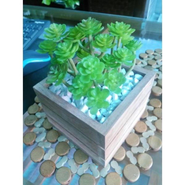 Sen Đá Giả Nhiều Nhánh - Trang Trí Nhà Cửa