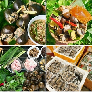 Ốc Bưu Nhồi Thịt vỹ 350g