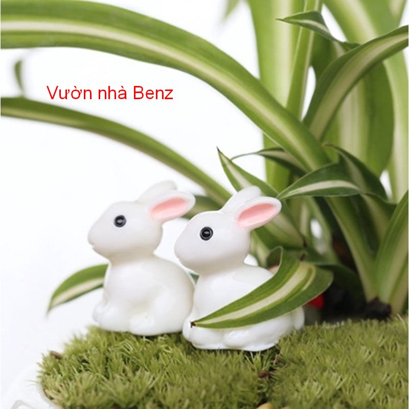 Chậu gia đình Thỏ làm vườn + TẶNG thỏ mini tiểu cảnh