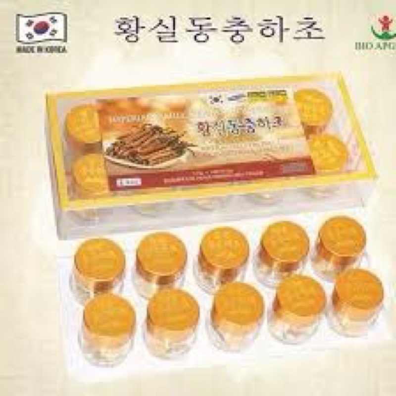 Đông Trùng Hạ thảo Hộp Nhựa 10 Viên