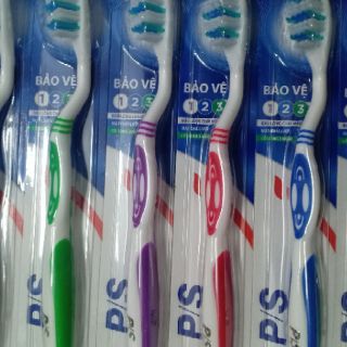 1 Vỉ 12 cây bàn chải đánh răng PS