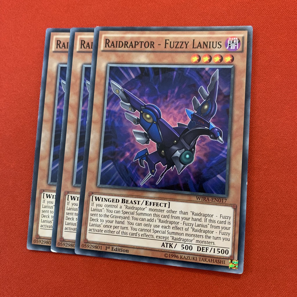 Raidraptor - Fuzzy Lanius