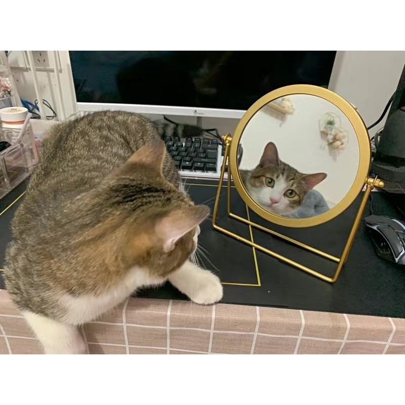 ORDER Gương trang điểm gương tròn để bàn mạ vàng phong cách Hàn Quốc