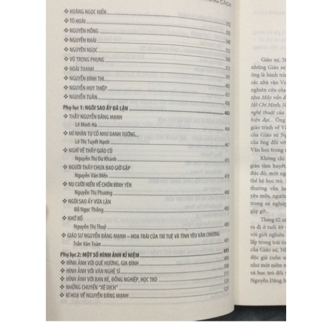 Sách - Nguyễn Đăng Mạnh: Chân dung và phong cách