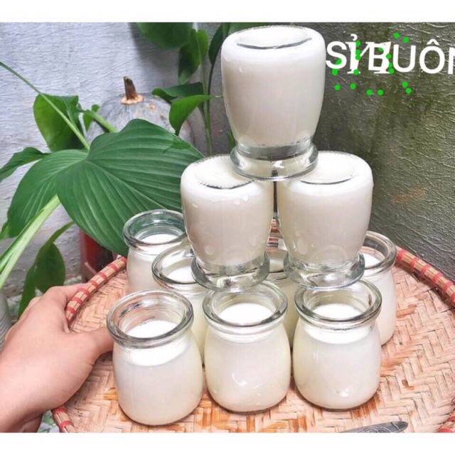 Hũ làm sữa chua thuỷ tinh 100ml