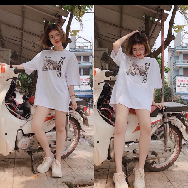 Pull trắng