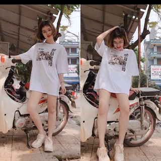 Pull trắng