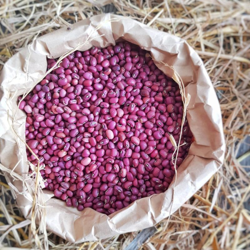 Đậu đỏ hữu cơ 500g