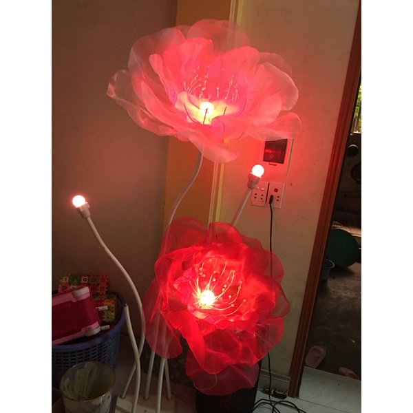 Hoa voan khổng lồ
