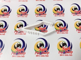 Dụng cụ kẹp nang mực,rau cho chim