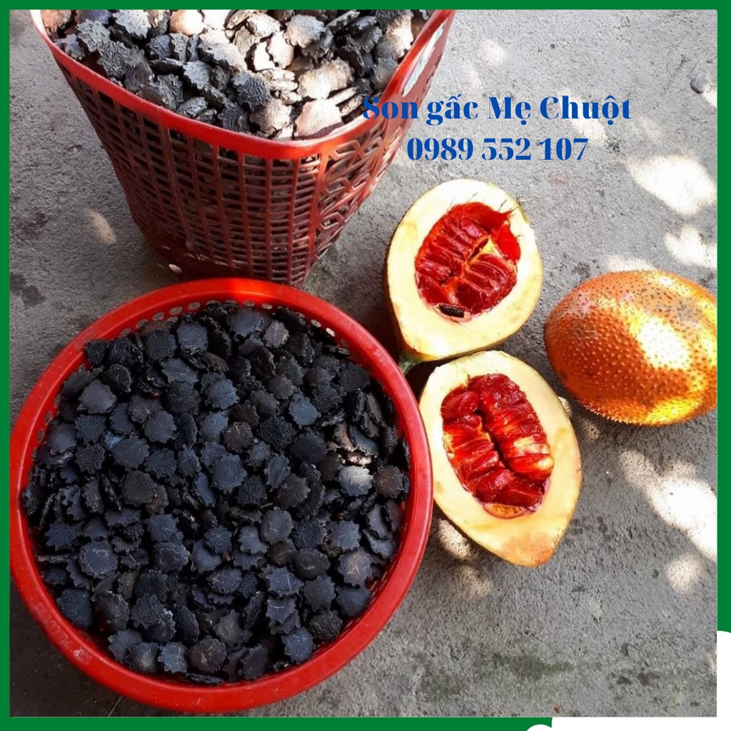 Son môi gấc handmade, dưỡng ẩm, hồng môi Mẹ Chuột