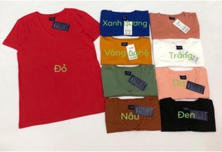 Áo thun cổ tim hiệu Polham xuất Hàn