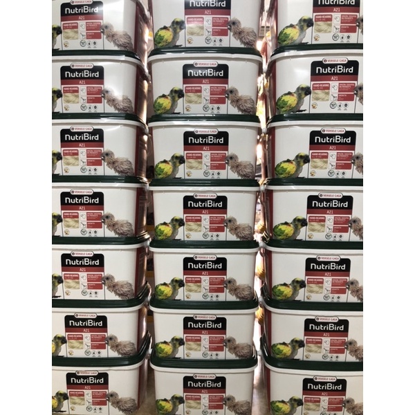 Bột a21 dành cho vẹt