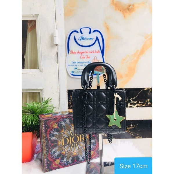 Túi ❤D❤I❤O❤R da lì size 18cm