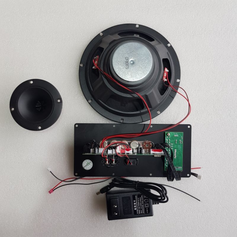 Combo mạch loa di động