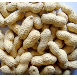 1kg lạc rang đậu phộng rang nguyên củ