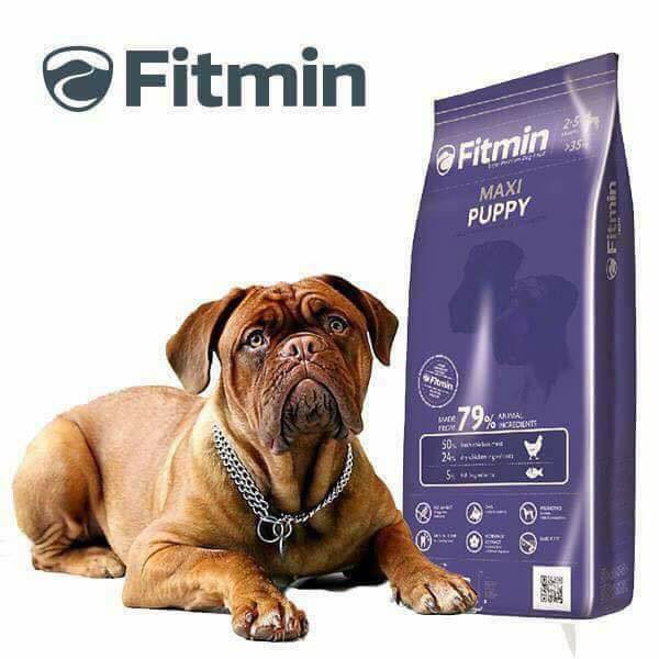 Thức ăn cho chó con Fitmin dog maxi puppy 3kg