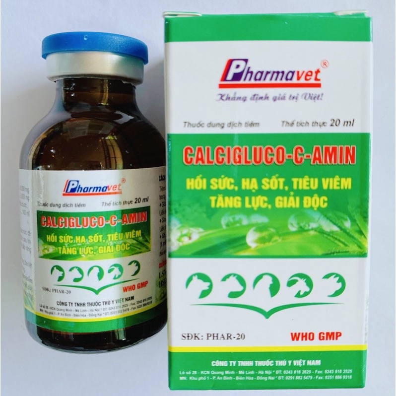 Calcigluco C Amin 20ml Hồi sức- QUỐC HƯNG VET