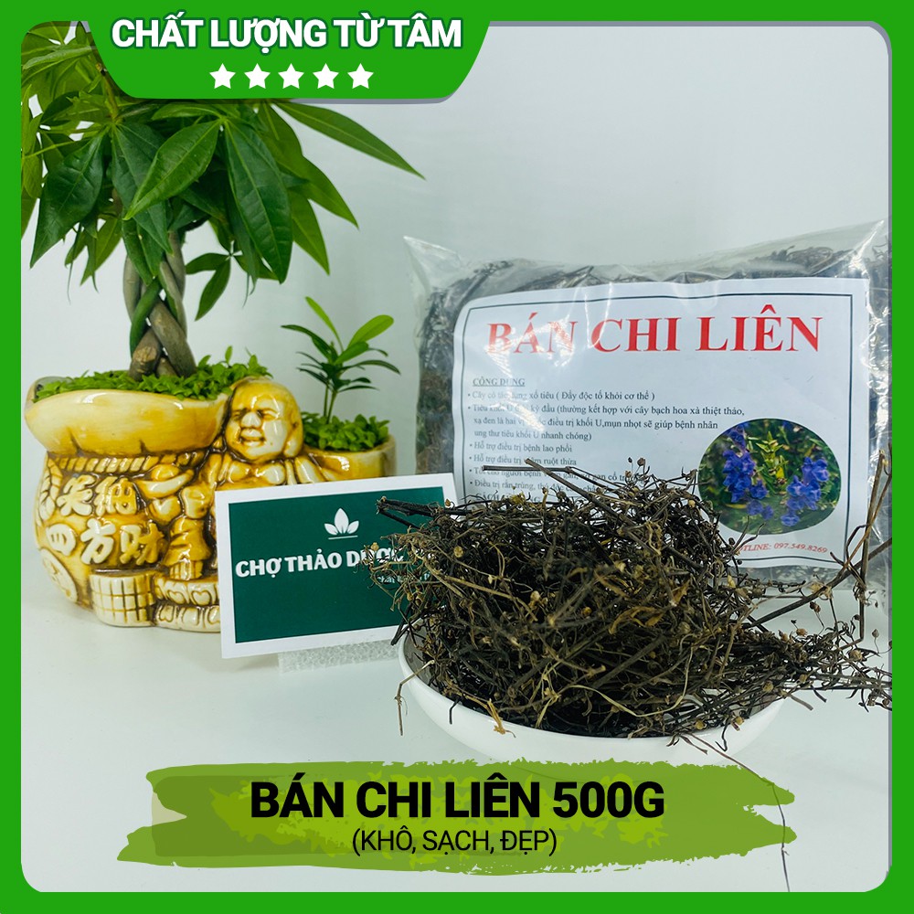 Bán chí liên 500g ( Khô, sạch, đẹp) - Chợ Thảo Dược Việt