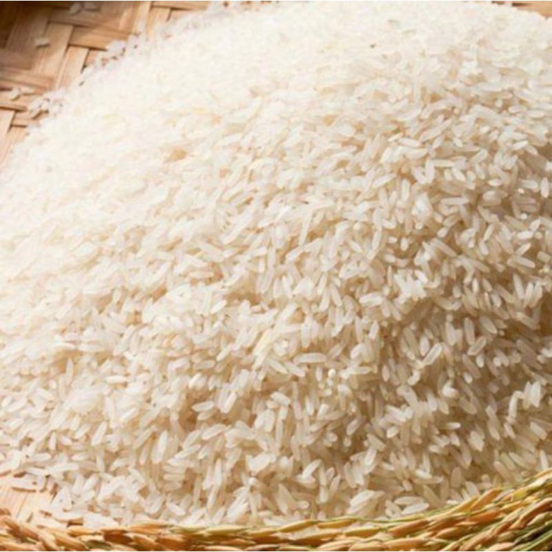 GẠO BẮC HƯƠNG TÚI 10KG