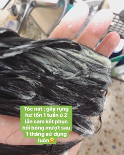 [X10 lần phục hồi tóc] Ủ Bơ Macca Siquill