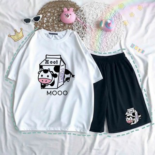 Set bộ bò sữa hình thật 100%