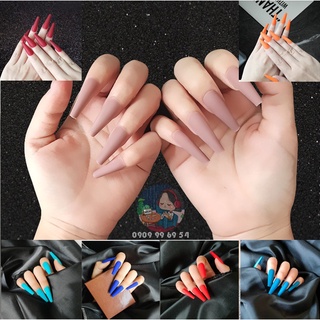 Matte - móng trơn sơn mịn - form thang dài xtra - bst trơn màu km