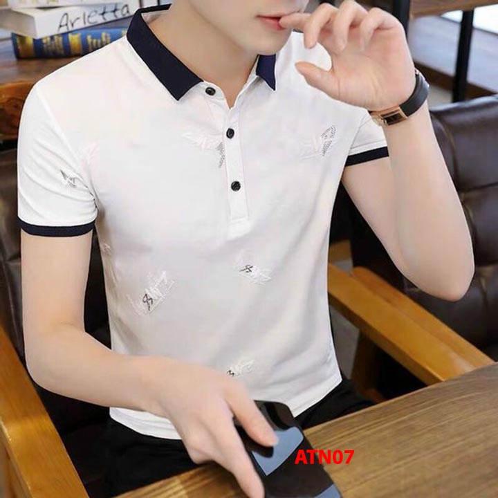 [video] Áo phông nam có cổ tay ngắn thêu họa tiết vải thun Cotton co giãn thoáng mát size 40kg đến 85kg ATN003