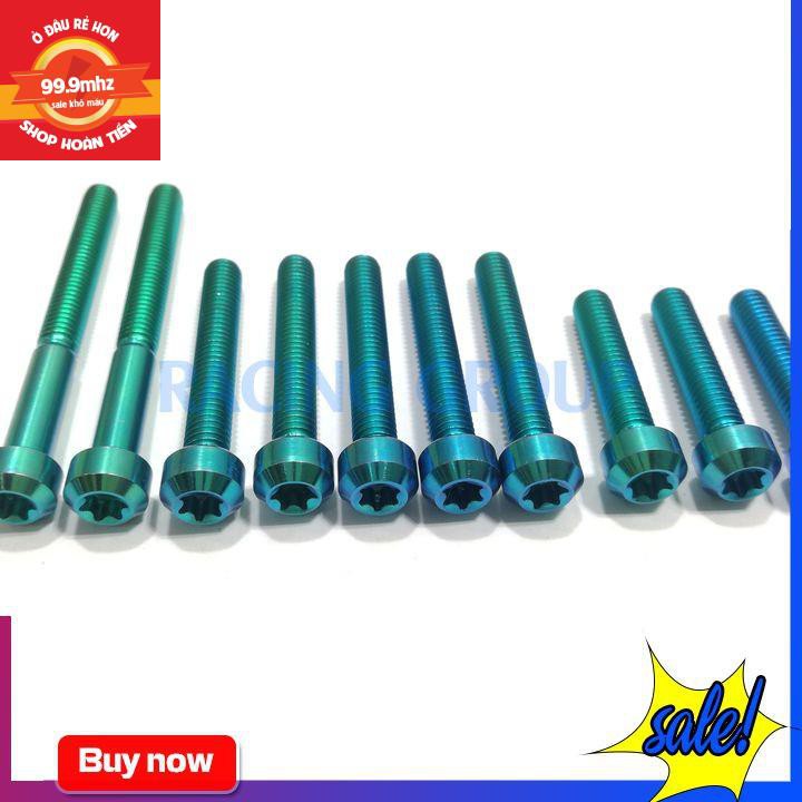 Bộ ốc lốc máy Vario GR5 (10 con 2 con 6li65, 4 con 6li30, 4 con 6li40)