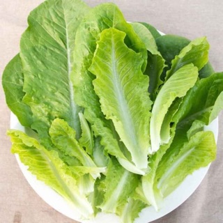 [ Hạt giống Mai Nguyễn] 1000 Hạt giống Romie xanh Mỹ_Cây to, chịu nhiệt khổng đắng