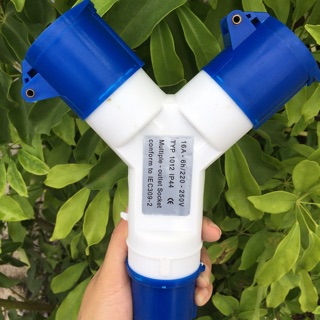 Phích cắm công nghiệp chia 2/ chữ Y 16A 220-250V