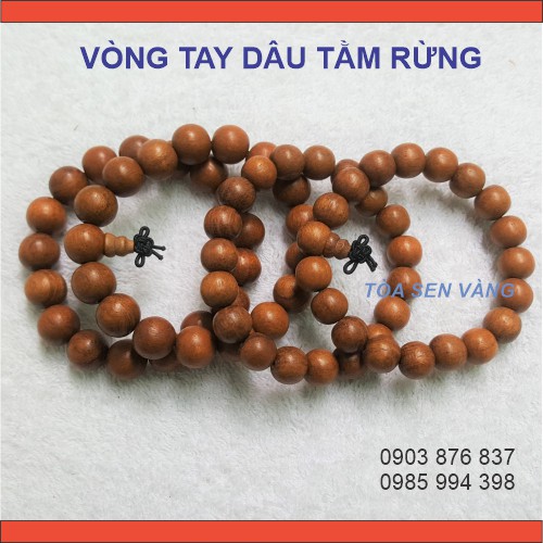 Vòng Tay Dâu Tằm Rừng - Vòng Dâu Tằm Size 10mm - 12mm