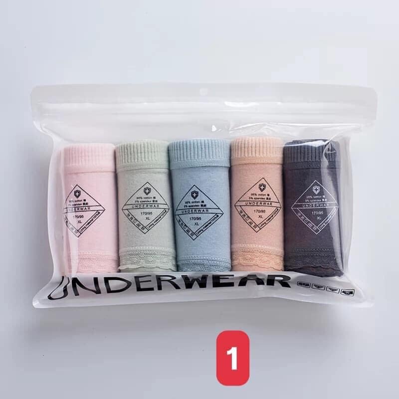 Set 5 quần lót nữ cotton cao cấp kháng khuẩn phối ren dễ thương QLN5