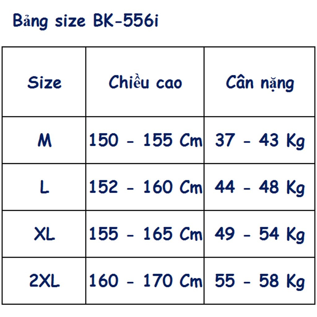 Bộ đồ bơi, đồ tắm biển nữ quần áo cộc trẻ trung BK-556i