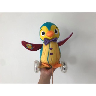 Chú chim cánh cụt kéo