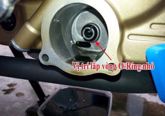 RON NẮP LỌC NHỚT SATRIA/RAIDER/GSX/FX/GD110/Viva Fi (Oring to và nhỏ)