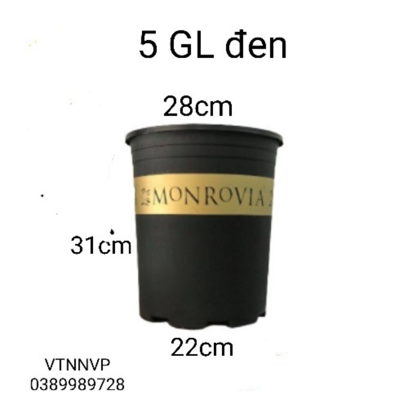 Chậu Monrovia 5Gal kích thước 28x31cm