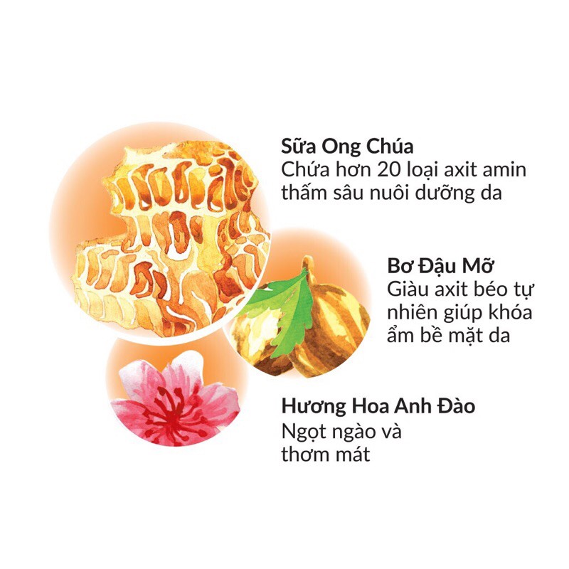 Sữa dưỡng thể Purité Dưỡng Ẩm Sữa Ong Chúa & Hoa Anh Đào 250ml