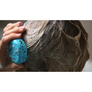 [ Tặng Kèm Hộp Thiếc ] Bánh gội đầu Seanik - Lush ( 27g/ 50g )
