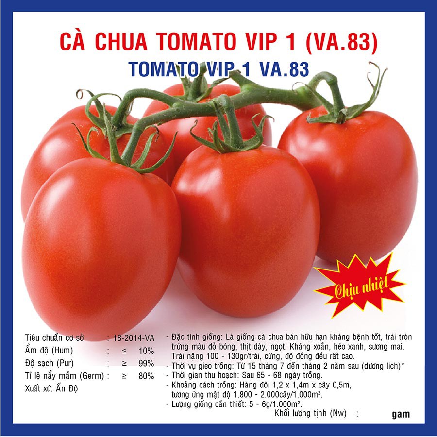 Hạt giống Cà chua Chịu Nhiệt F1 VIP (VA>83) 5gram