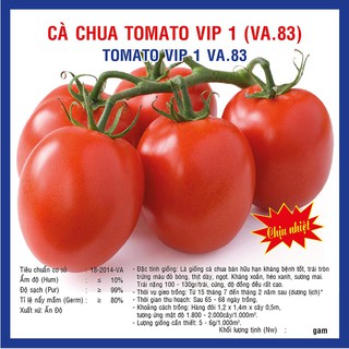 Hạt giống Cà chua Chịu Nhiệt F1 Tomato VIP 1 (VA.83) – 5gram